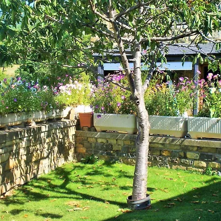 펜션 La Casa De Luis *